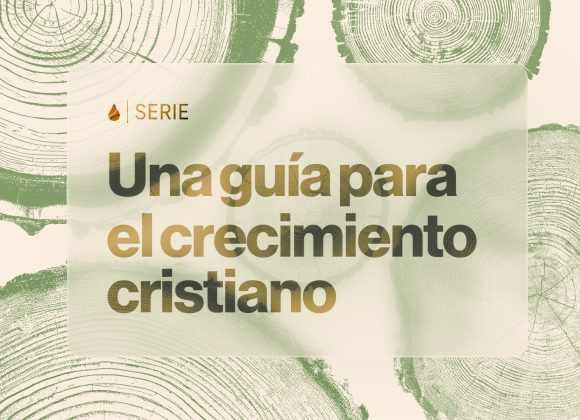 Artboard 1 copy Toda seguridad